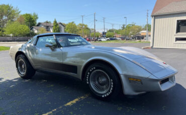 Chevrolet-Corvette-1982-Hatchback-21