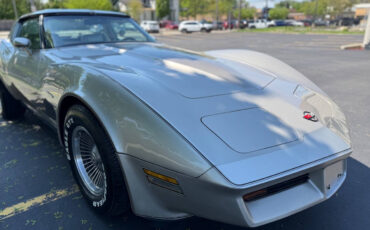 Chevrolet-Corvette-1982-Hatchback-22