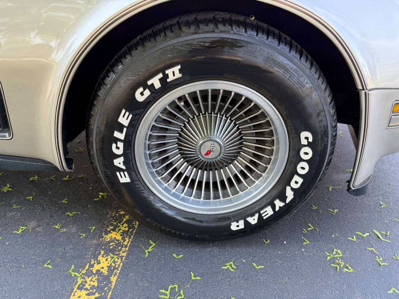 Chevrolet-Corvette-1982-Hatchback-23