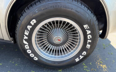 Chevrolet-Corvette-1982-Hatchback-28
