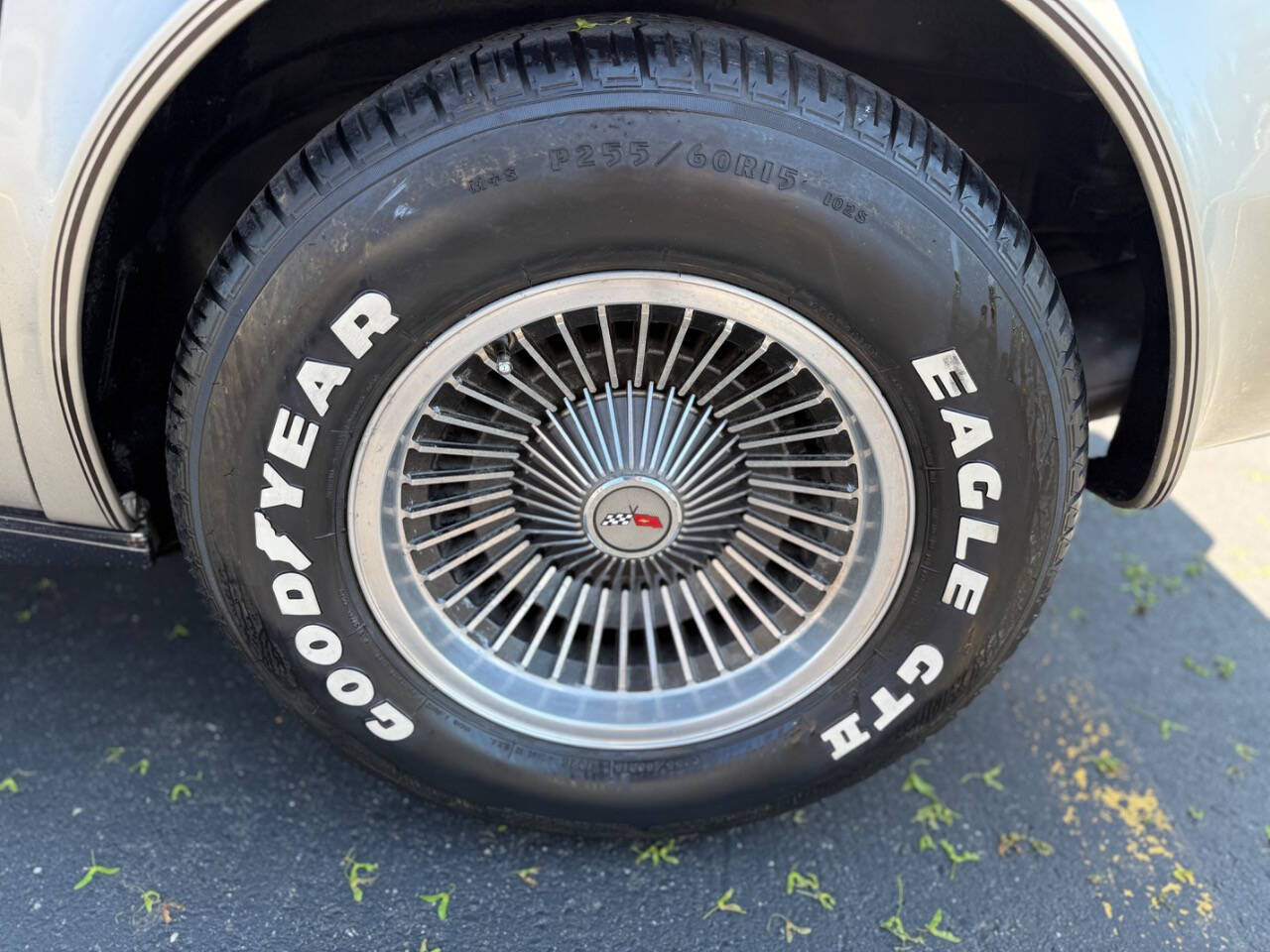 Chevrolet-Corvette-1982-Hatchback-28