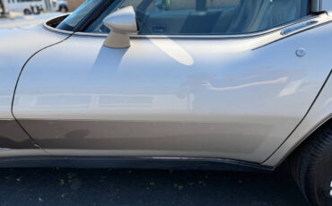 Chevrolet-Corvette-1982-Hatchback-29