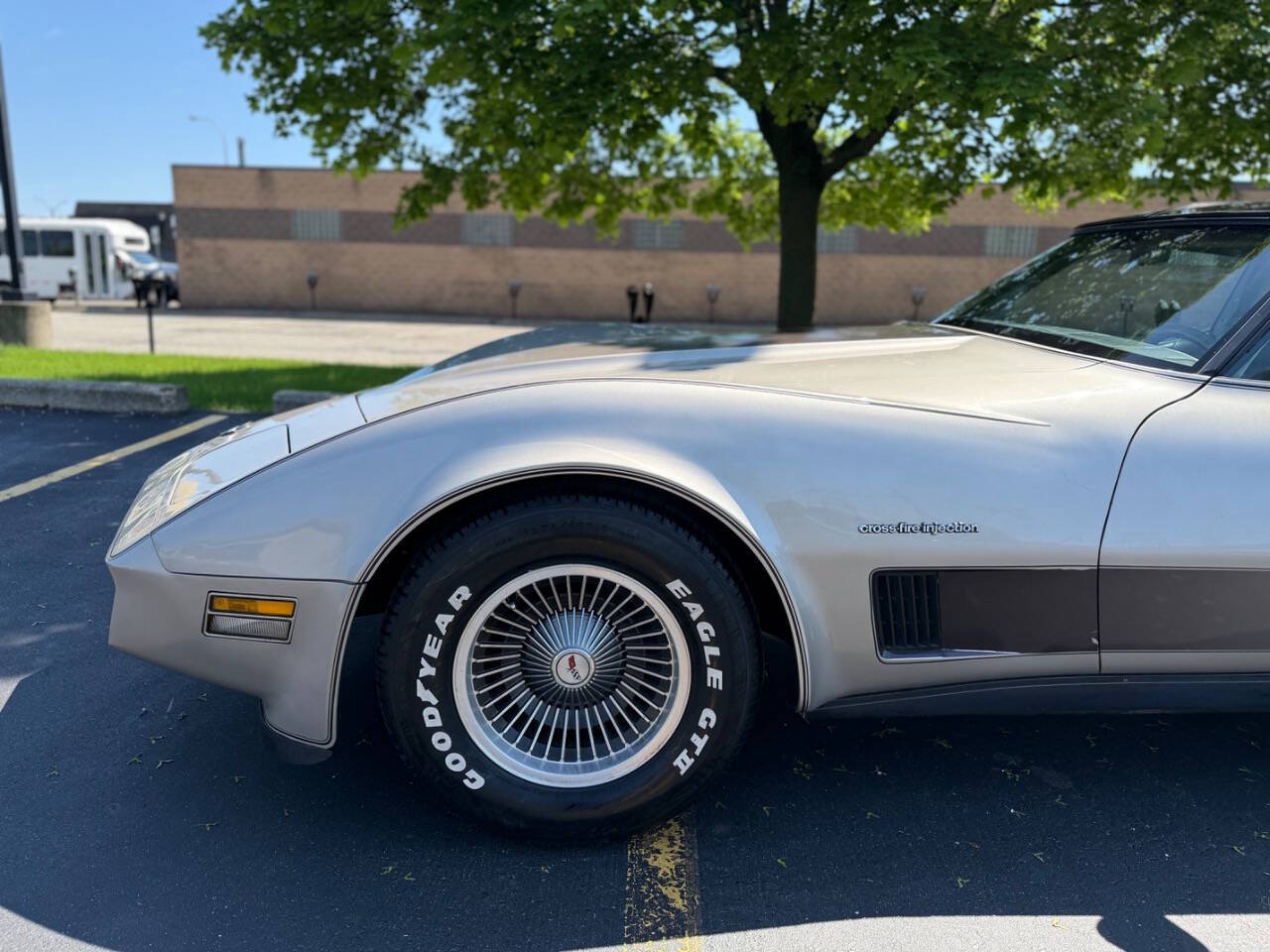 Chevrolet-Corvette-1982-Hatchback-3