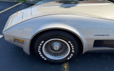 Chevrolet-Corvette-1982-Hatchback-31