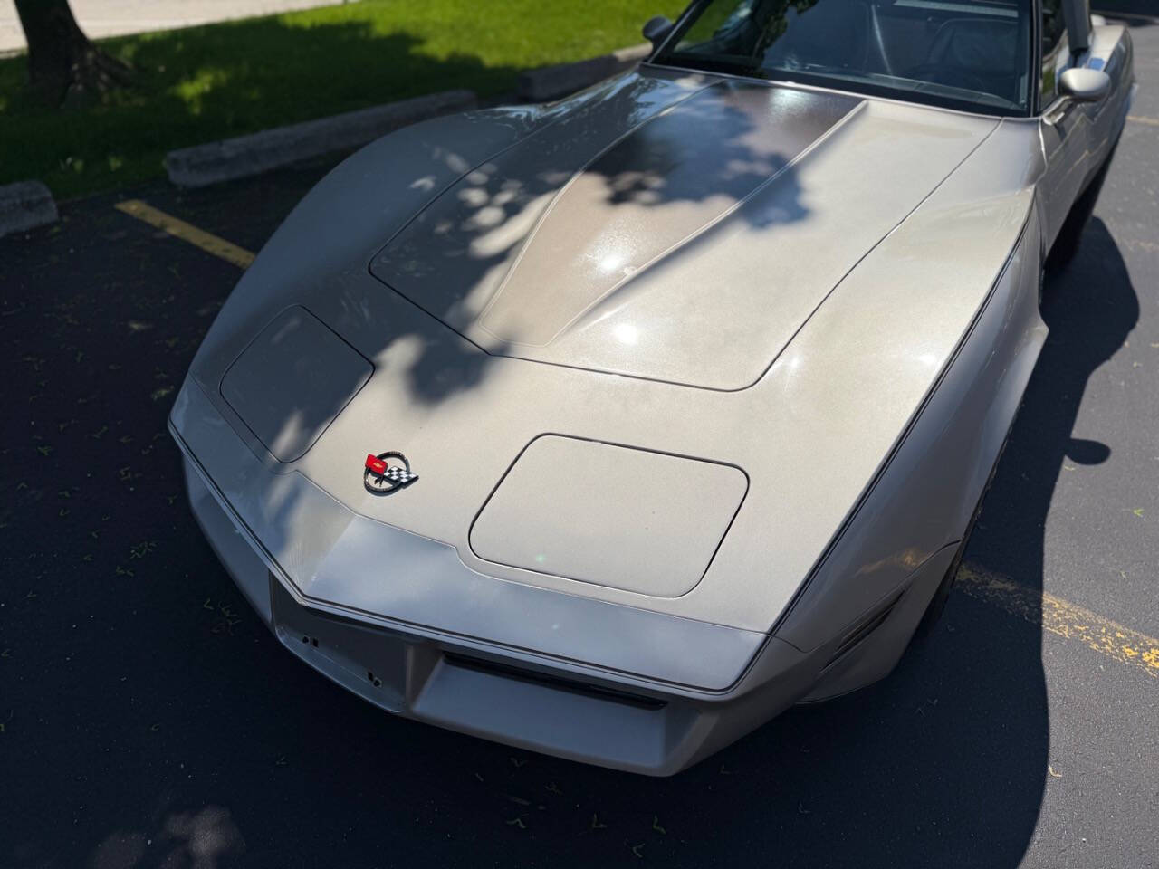 Chevrolet-Corvette-1982-Hatchback-33