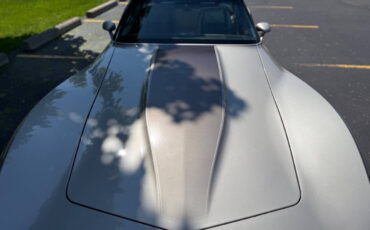 Chevrolet-Corvette-1982-Hatchback-34