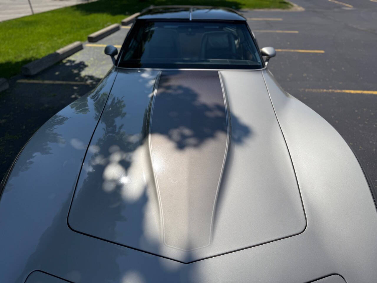 Chevrolet-Corvette-1982-Hatchback-34