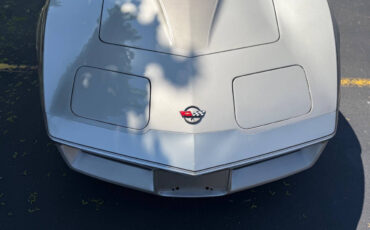 Chevrolet-Corvette-1982-Hatchback-35