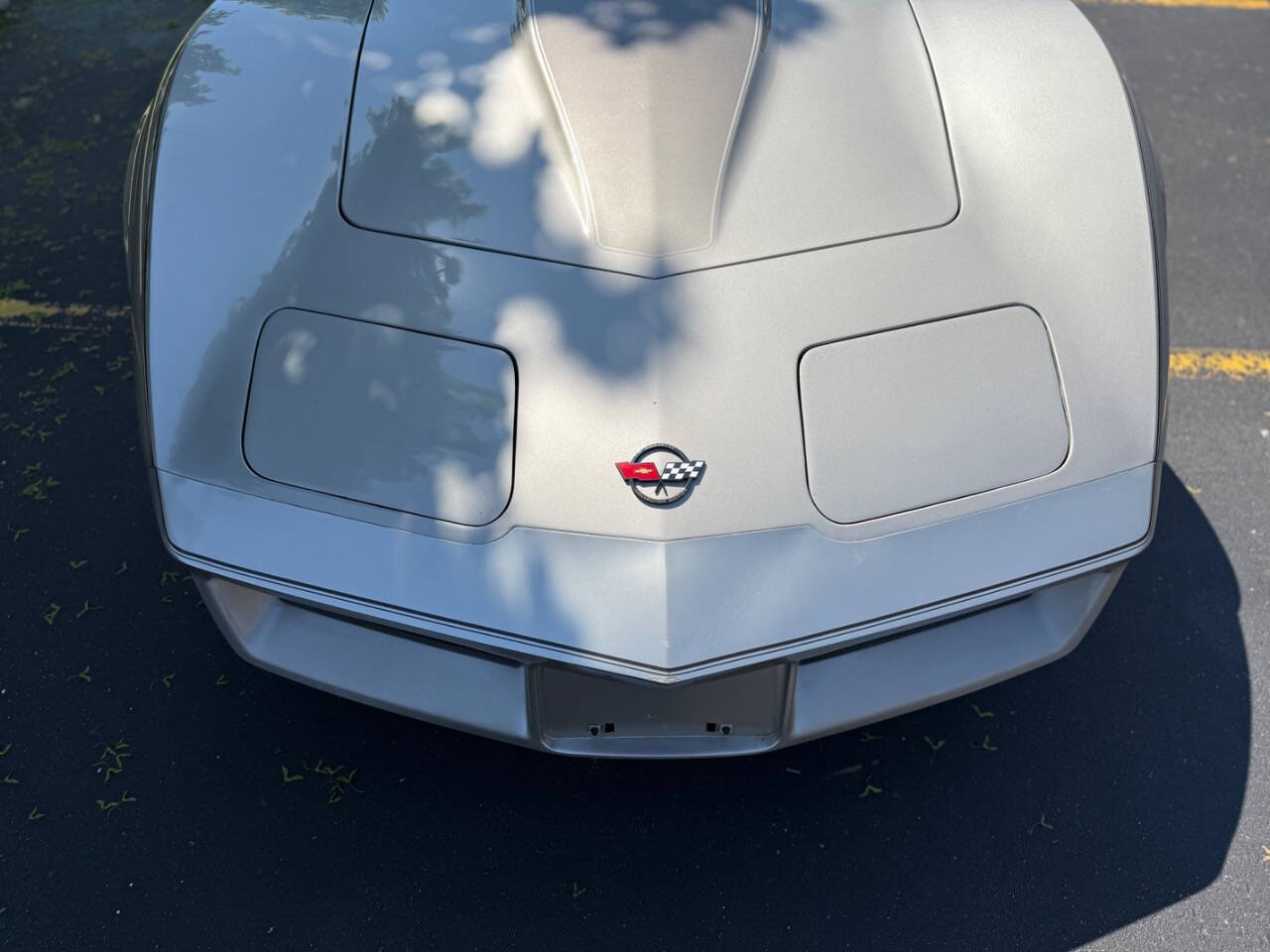 Chevrolet-Corvette-1982-Hatchback-35