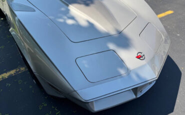 Chevrolet-Corvette-1982-Hatchback-36