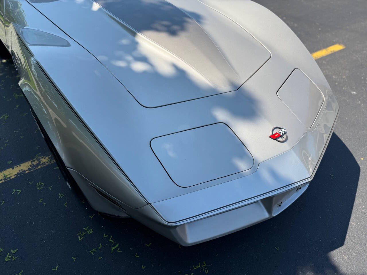 Chevrolet-Corvette-1982-Hatchback-36