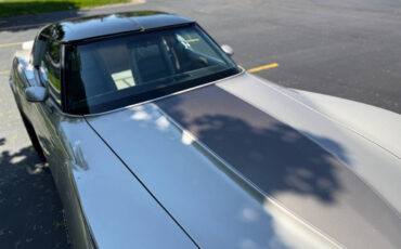 Chevrolet-Corvette-1982-Hatchback-37
