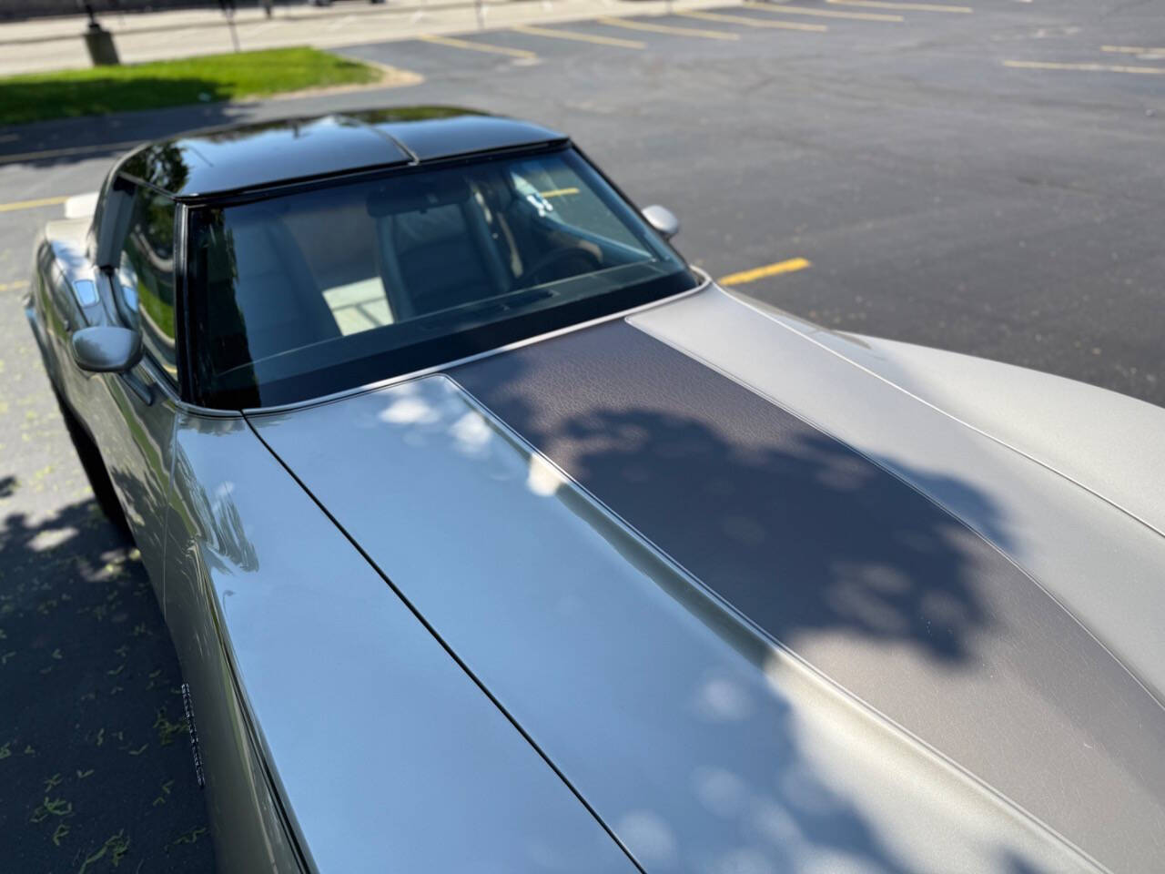 Chevrolet-Corvette-1982-Hatchback-37