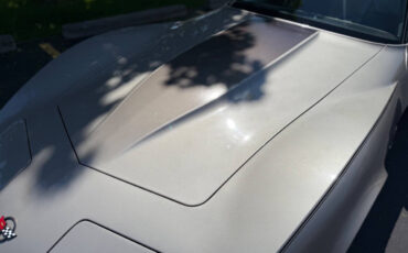 Chevrolet-Corvette-1982-Hatchback-39