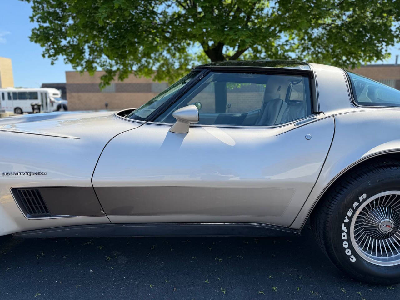 Chevrolet-Corvette-1982-Hatchback-4