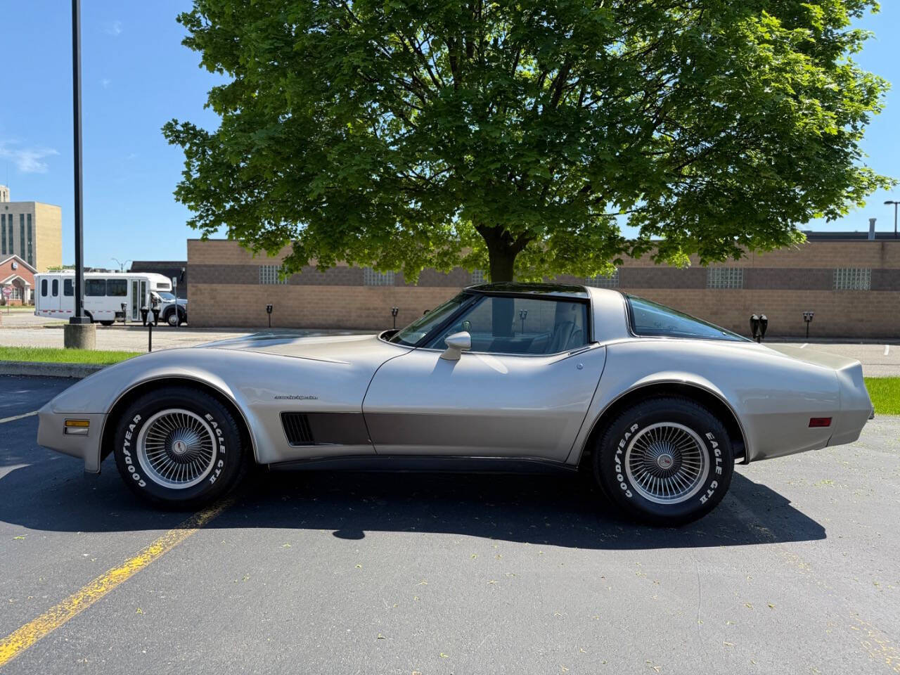 Chevrolet-Corvette-1982-Hatchback-6