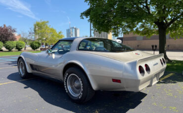 Chevrolet-Corvette-1982-Hatchback-7