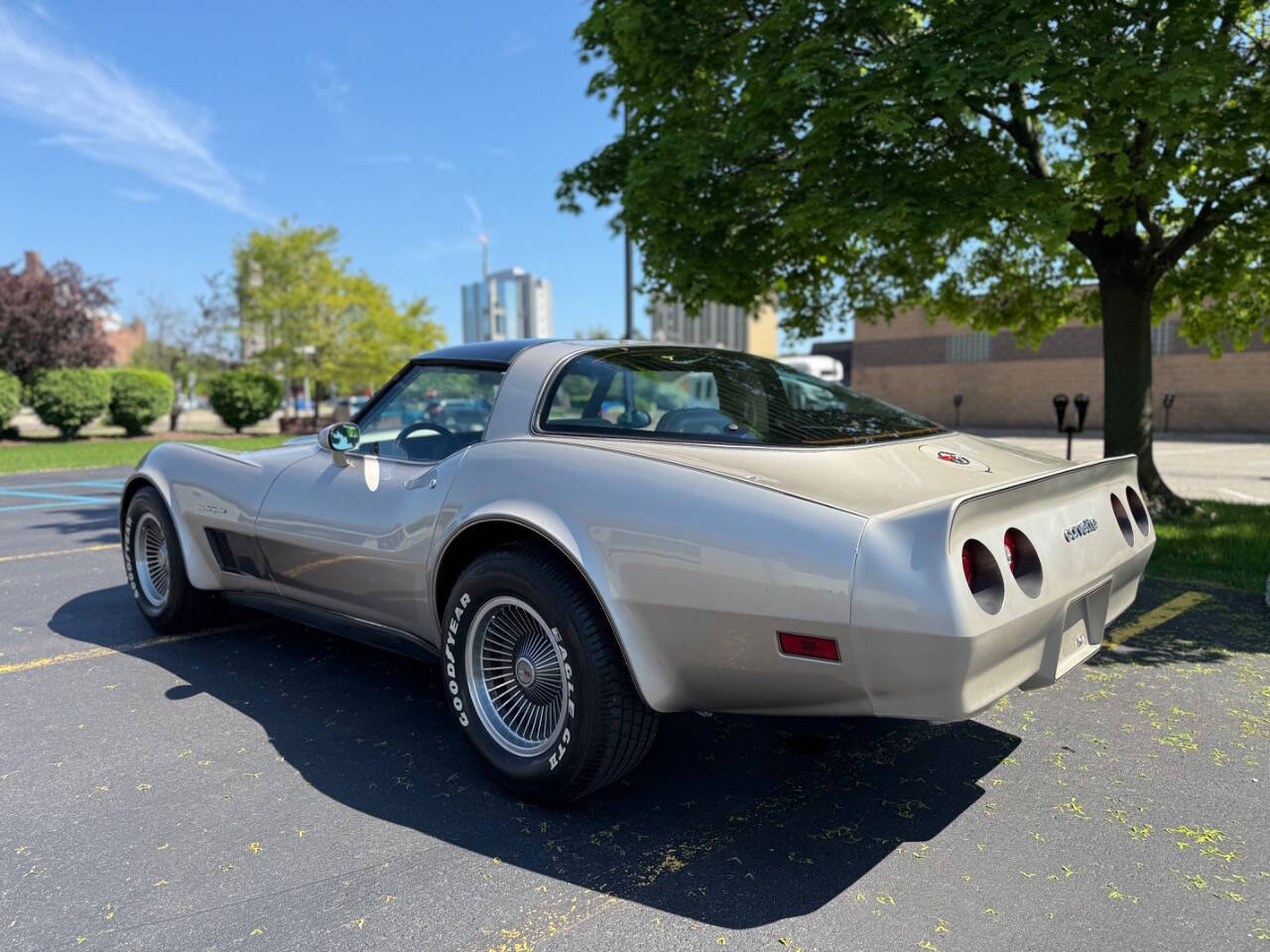 Chevrolet-Corvette-1982-Hatchback-7