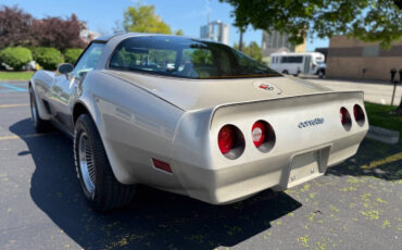 Chevrolet-Corvette-1982-Hatchback-8