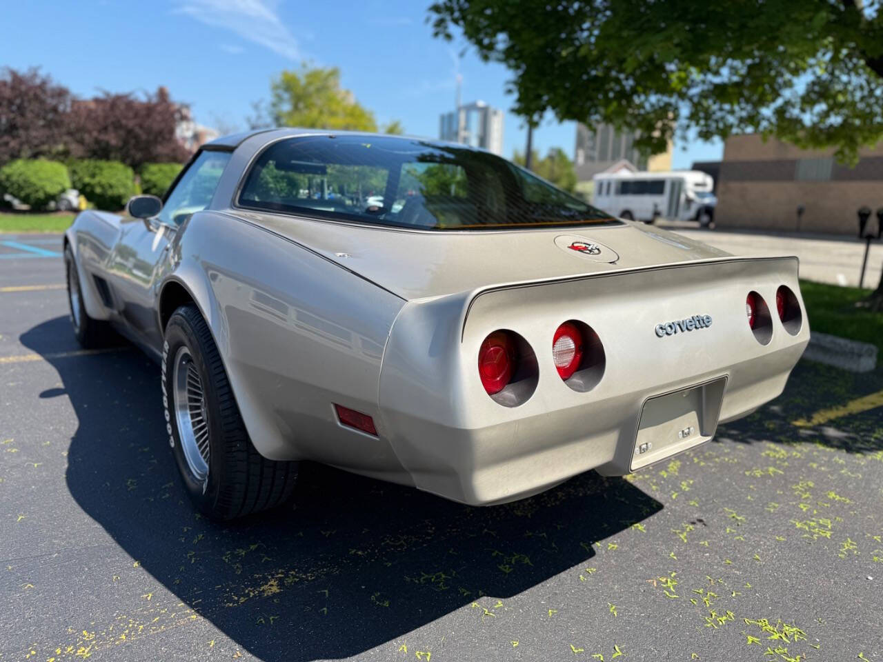 Chevrolet-Corvette-1982-Hatchback-8