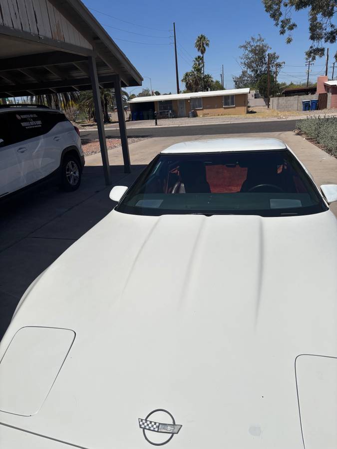Chevrolet-Corvette-1984-3