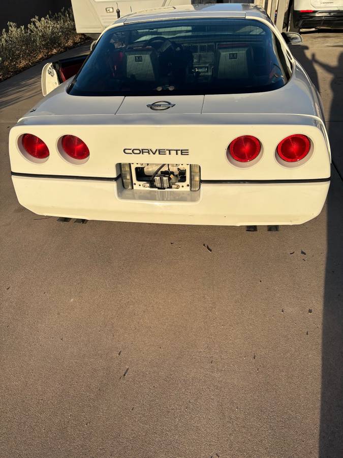 Chevrolet-Corvette-1984-5