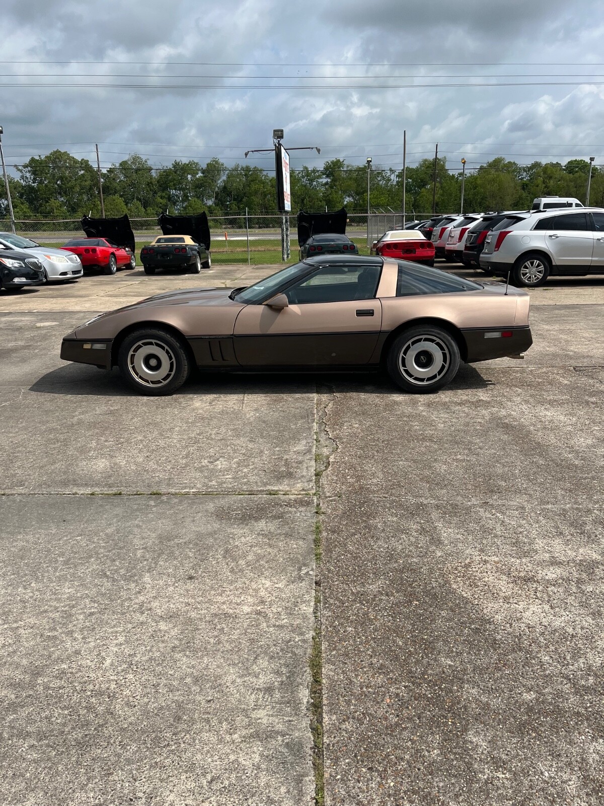Chevrolet-Corvette-1985-Coupe-1