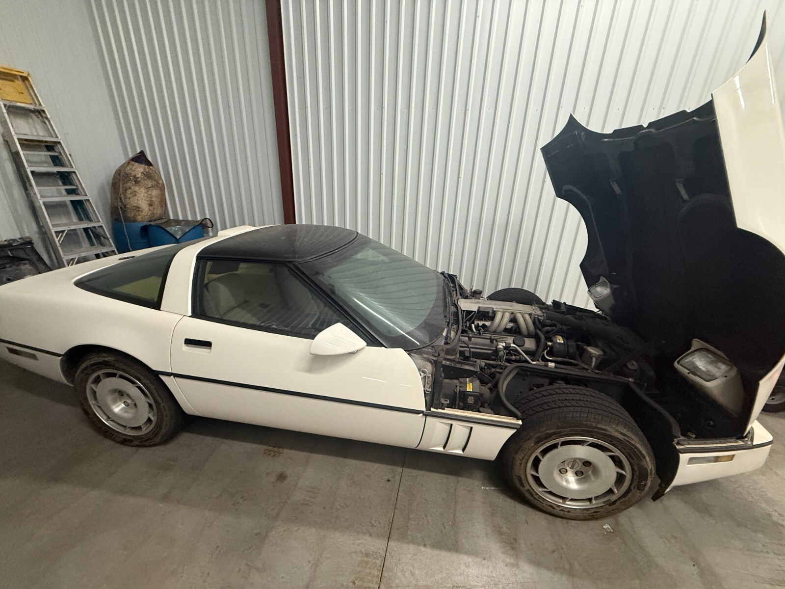 Chevrolet-Corvette-1986-Coupe-2
