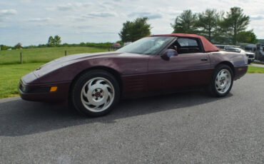 Chevrolet-Corvette-1993-Convertible-19