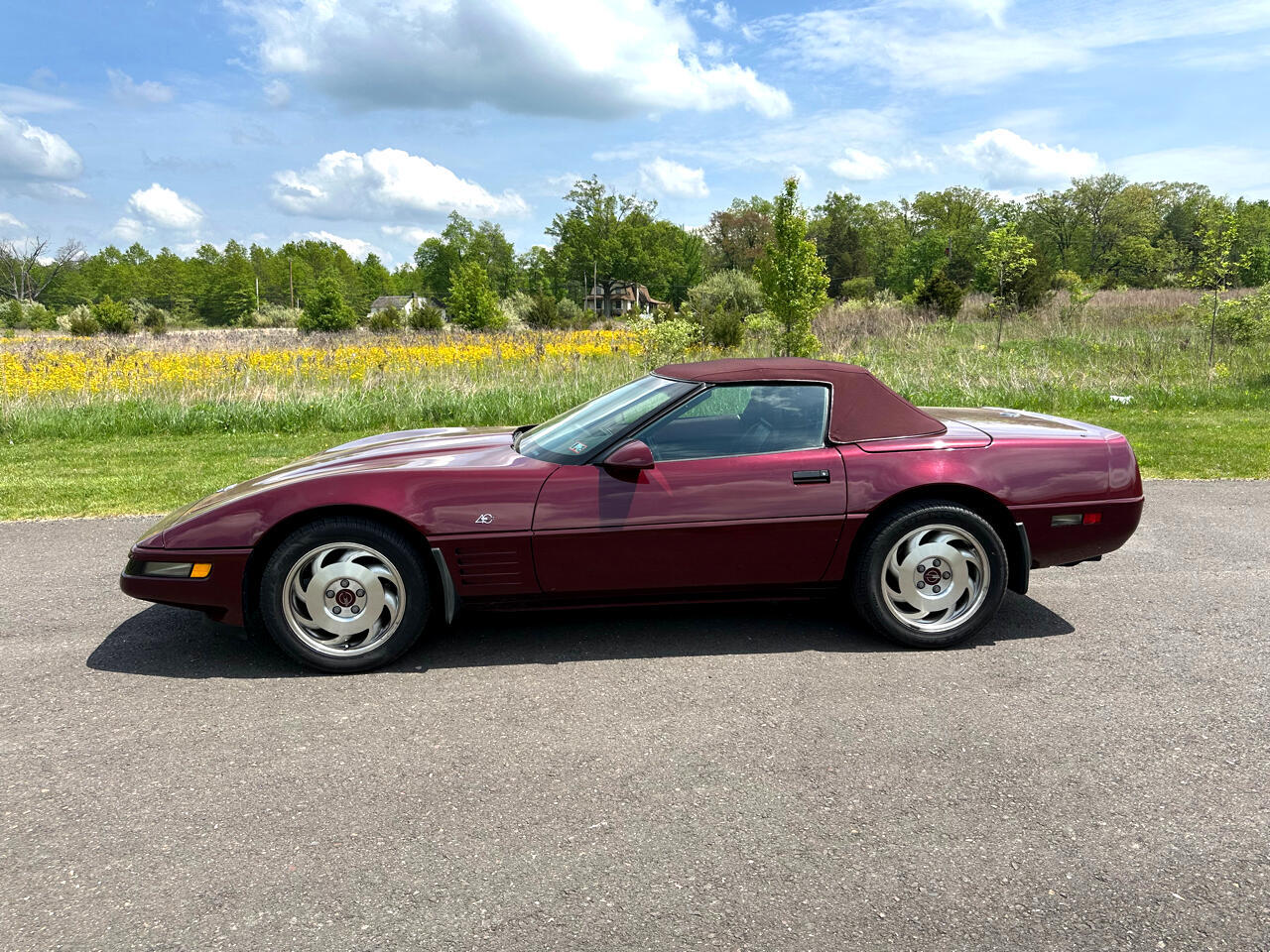 Chevrolet-Corvette-1993-Convertible-2