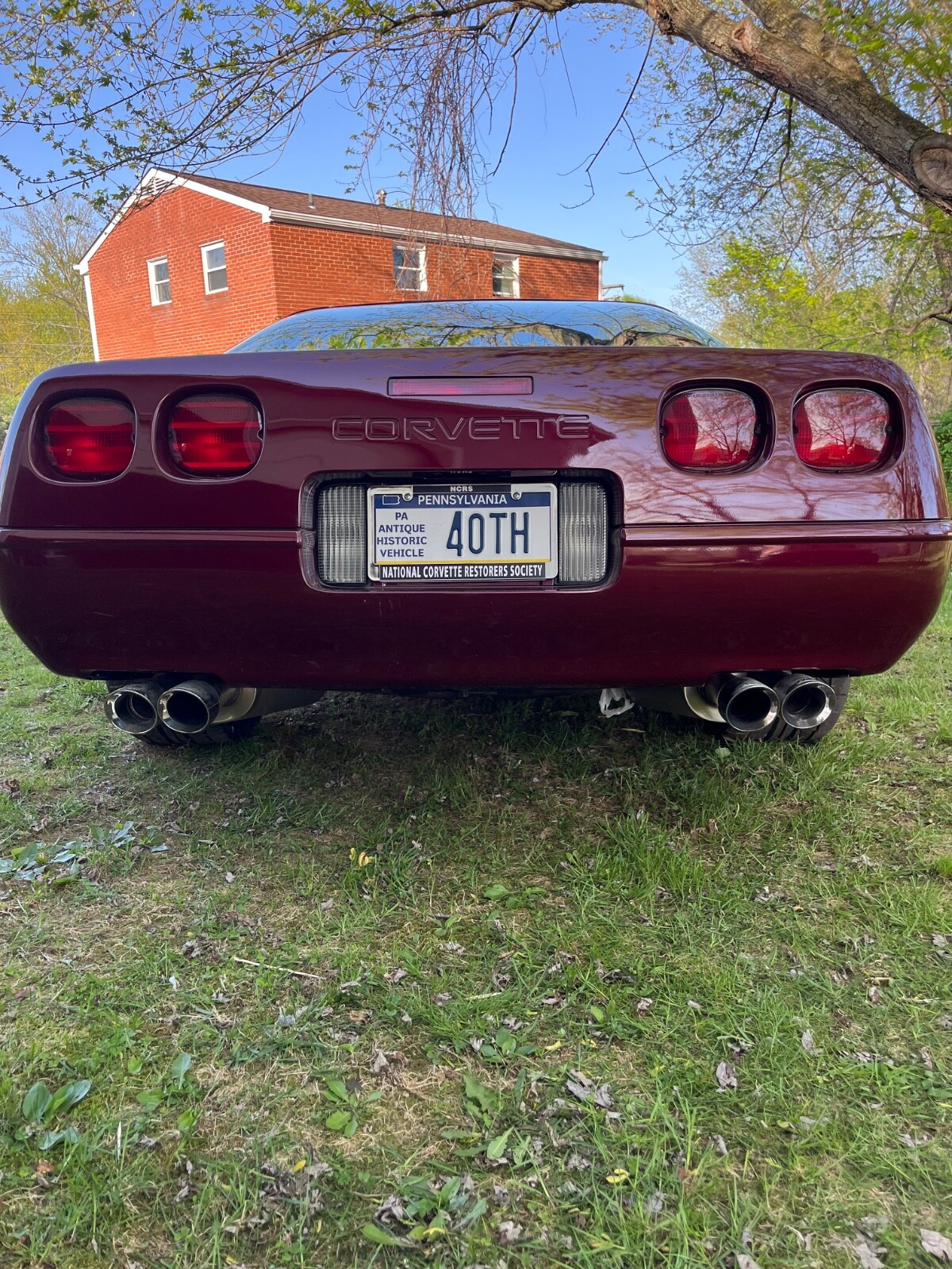 Chevrolet-Corvette-1993-Hatchback-4