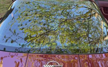 Chevrolet-Corvette-1993-Hatchback-6