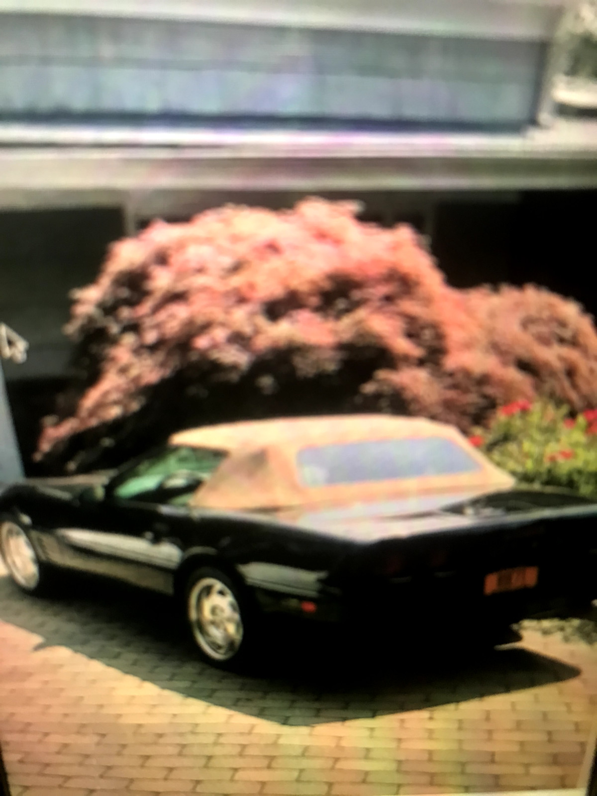 Chevrolet-Corvette-1994-Convertible-10
