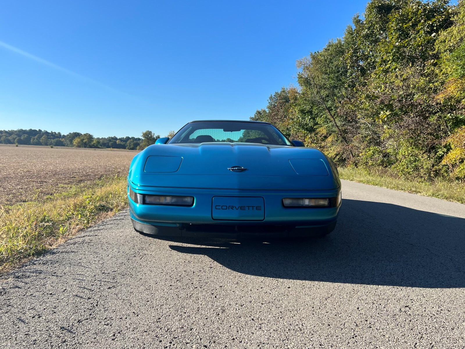 Chevrolet-Corvette-1994-Hatchback-1