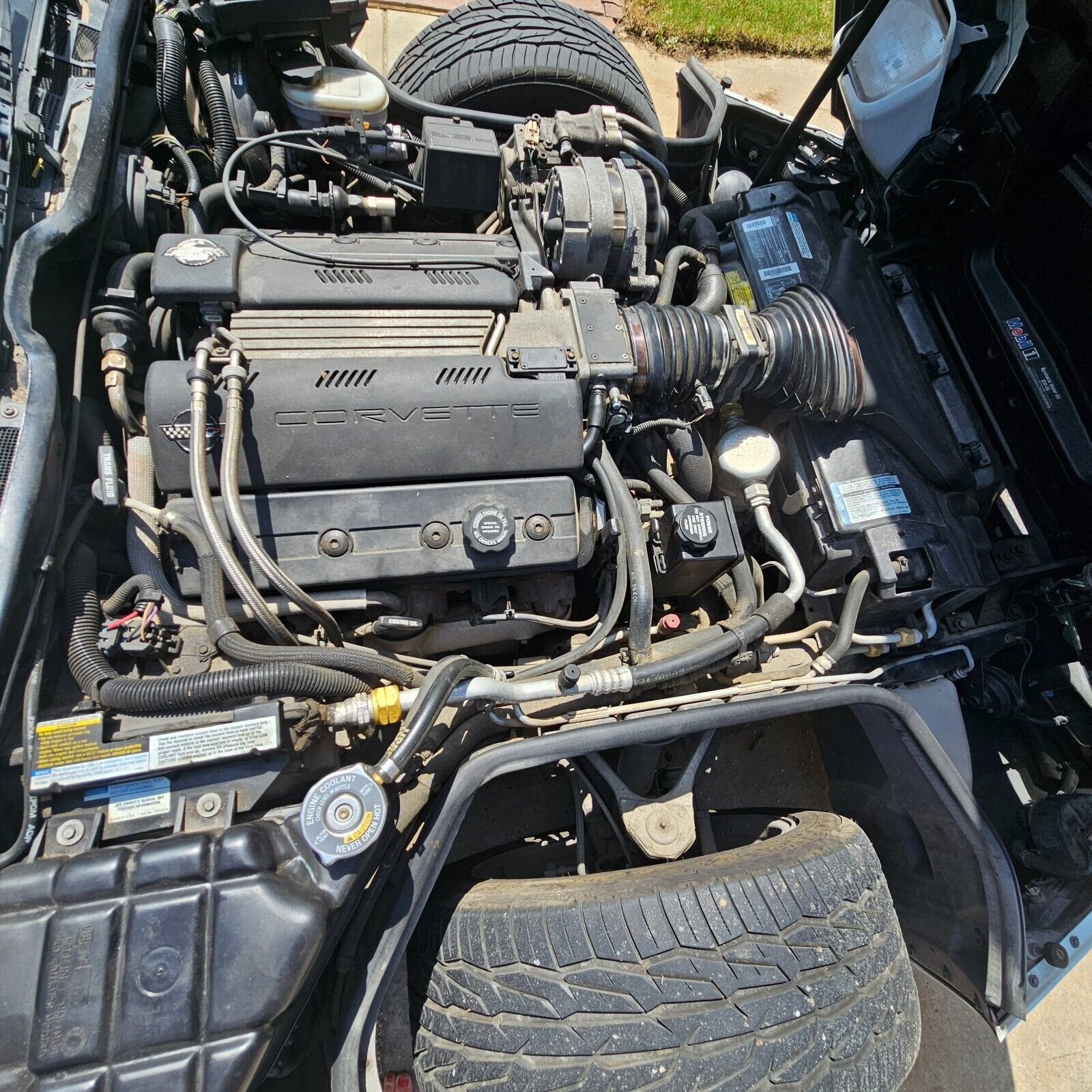 Chevrolet-Corvette-1994-Hatchback-5