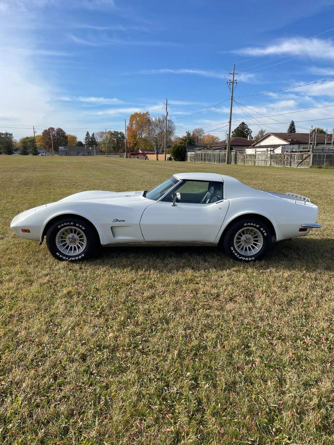 Chevrolet-Corvette-454-stingray-ls4-4-speed-manual-1973-white-1