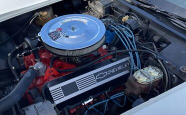 Chevrolet-Corvette-454-stingray-ls4-4-speed-manual-1973-white-10