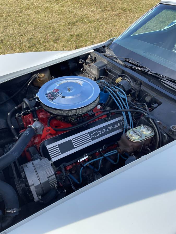Chevrolet-Corvette-454-stingray-ls4-4-speed-manual-1973-white-10