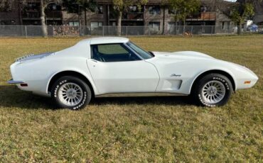 Chevrolet-Corvette-454-stingray-ls4-4-speed-manual-1973-white-6