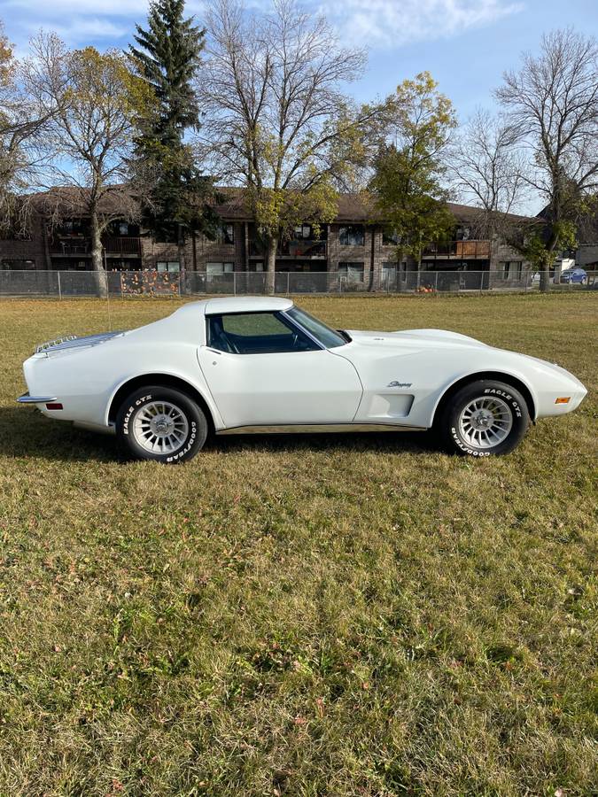 Chevrolet-Corvette-454-stingray-ls4-4-speed-manual-1973-white-6