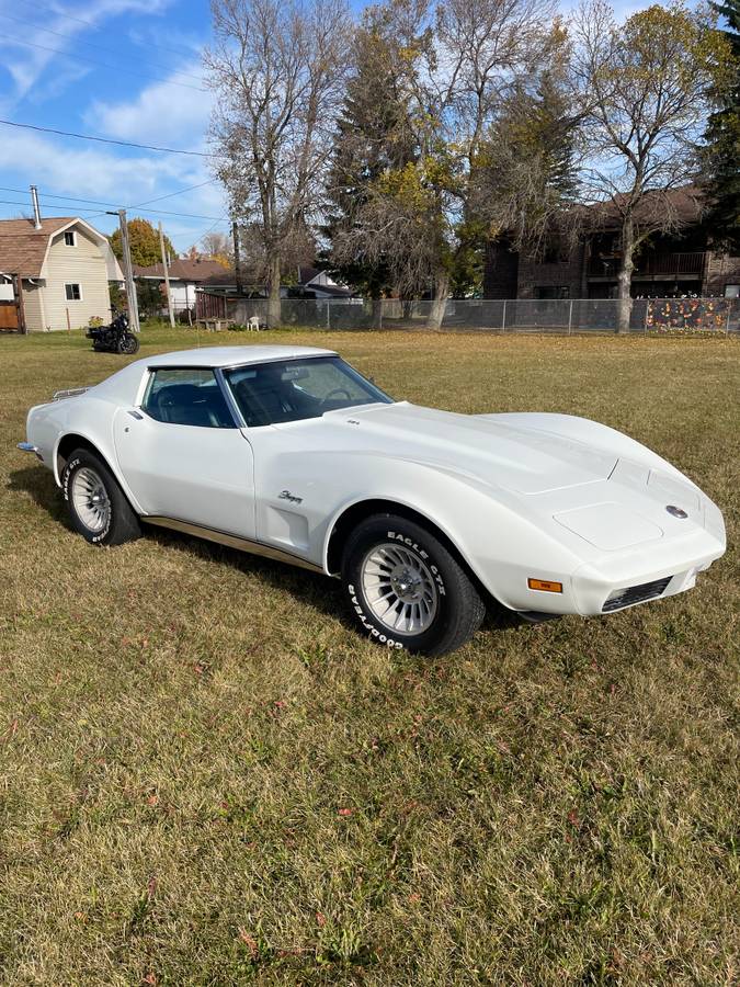 Chevrolet-Corvette-454-stingray-ls4-4-speed-manual-1973-white-7