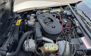 Chevrolet-Corvette-Collector-Edition-1982-Coupe-15