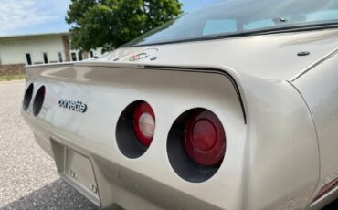 Chevrolet-Corvette-Collector-Edition-1982-Coupe-26