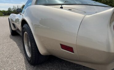 Chevrolet-Corvette-Collector-Edition-1982-Coupe-31