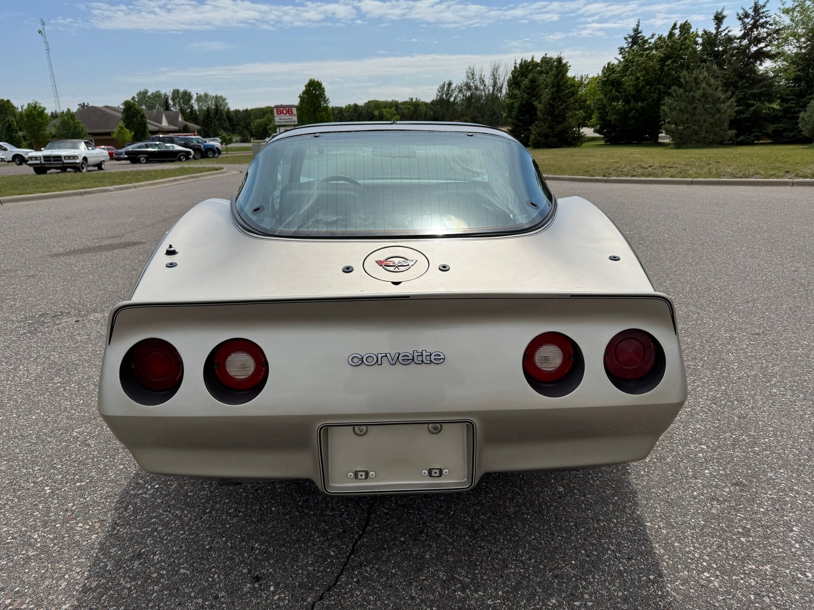 Chevrolet-Corvette-Collector-Edition-1982-Coupe-4