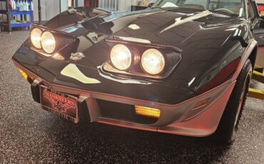 Chevrolet-Corvette-Indianapolis-500-Pace-Car-Edition-1978-Coupe-38