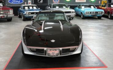 Chevrolet-Corvette-Indianapolis-500-Pace-Car-Edition-1978-Coupe-8