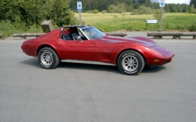 Chevrolet Corvette coupe 1974