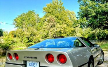 Chevrolet-Corvette-coupe-1987-silver-18