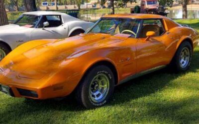 Chevrolet Corvette l-82  1977 orange